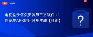 电视盒子怎么安装第三方软件 U盘安装APK应用详细步骤【指南】