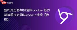 猎豹浏览器如何清除cookie 猎豹浏览器指定网站cookie清理【教程】