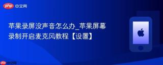 苹果录屏没声音怎么办_苹果屏幕录制开启麦克风教程【设置】
