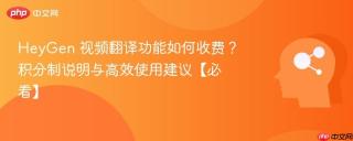 heygen 视频翻译功能如何收费？积分制说明与高效使用建议【必看】