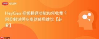 HeyGen 视频翻译功能如何收费？积分制说明与高效使用建议【必看】