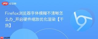 Firefox浏览器字体模糊不清晰怎么办_开启硬件缩放优化渲染【干货】