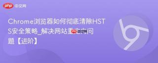 Chrome浏览器如何彻底清除HSTS安全策略_解决网站重定向问题【进阶】