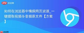 如何在浏览器中嗅探网页资源_一键提取视频与音频原文件【方案】