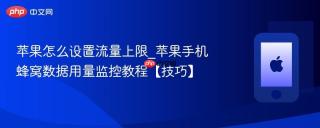 苹果怎么设置流量上限_苹果手机蜂窝数据用量监控教程【技巧】