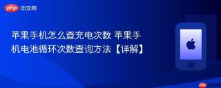 苹果手机怎么查充电次数 苹果手机电池循环次数查询方法【详解】