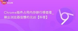chrome插件占用内存排行榜查看_揪出浏览器变慢的元凶【科普】