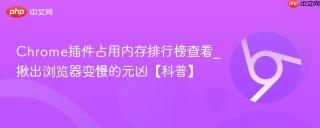 Chrome插件占用内存排行榜查看_揪出浏览器变慢的元凶【科普】