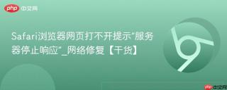 Safari浏览器网页打不开提示“服务器停止响应”_网络修复【干货】