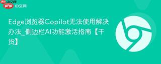Edge浏览器Copilot无法使用解决办法_侧边栏AI功能激活指南【干货】