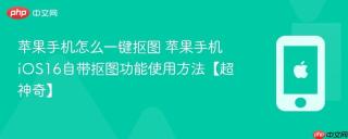 苹果手机怎么一键抠图 苹果手机iOS16自带抠图功能使用方法【超神奇】