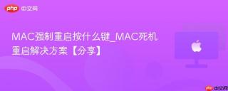 MAC强制重启按什么键_MAC死机重启解决方案【分享】