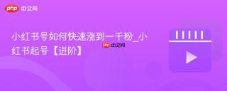 小红书号如何快速涨到一千粉_小红书起号【进阶】