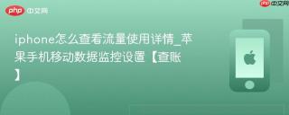 iphone怎么查看流量使用详情_苹果手机移动数据监控设置【查账】