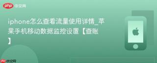 iphone怎么查看流量使用详情_苹果手机移动数据监控设置【查账】