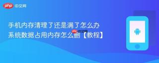 手机内存清理了还是满了怎么办 系统数据占用内存怎么删【教程】
