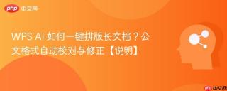 WPS AI 如何一键排版长文档？公文格式自动校对与修正【说明】