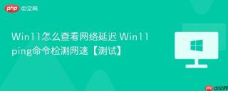 Win11怎么查看网络延迟 Win11ping命令检测网速【测试】