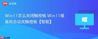 Win11怎么关闭触控板 Win11插鼠标自动关触控板【智能】