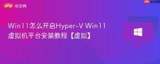 Win11怎么开启Hyper-V Win11虚拟机平台安装教程【虚拟】