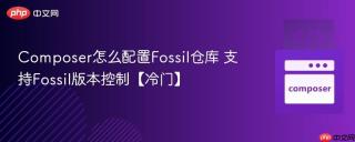 composer怎么配置fossil仓库 支持fossil版本控制【冷门】