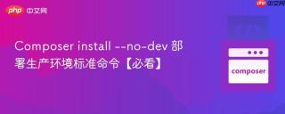 Composer install --no-dev 部署生产环境标准命令【必看】