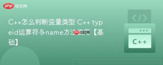 C++怎么判断变量类型 C++ typeid运算符与name方法使用【基础】
