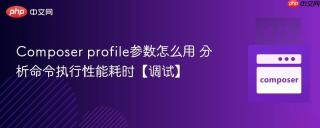 Composer profile参数怎么用 分析命令执行性能耗时【调试】