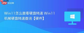 Win11怎么查看硬盘转速 Win11机械硬盘转速查询【硬件】