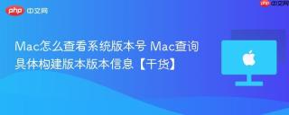Mac怎么查看系统版本号 Mac查询具体构建版本版本信息【干货】