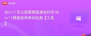 Win11怎么查看硬盘通电时间 Win11硬盘使用寿命检测【工具】