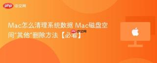 Mac怎么清理系统数据 Mac磁盘空间“其他”删除方法【必看】