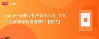 iphone录屏没有声音怎么办_苹果手机录屏音轨设置技巧【避坑】