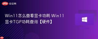 Win11怎么查看显卡功耗 Win11显卡TGP功耗查询【硬件】