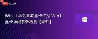 Win11怎么查看显卡位宽 Win11显卡详细参数检测【硬件】
