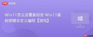 Win11怎么设置鼠标宏 Win11鼠标按键自定义编程【游戏】
