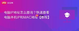 电脑IP地址怎么查询？快速查看电脑本机IP和MAC地址【教程】