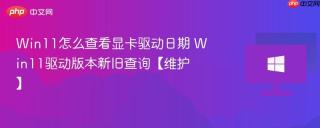 Win11怎么查看显卡驱动日期 Win11驱动版本新旧查询【维护】