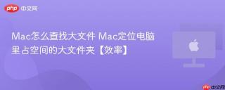 Mac怎么查找大文件 Mac定位电脑里占空间的大文件夹【效率】