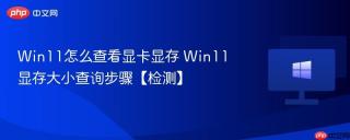 Win11怎么查看显卡显存 Win11显存大小查询步骤【检测】