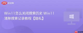 Win11怎么关闭搜索历史 Win11清除搜索记录教程【隐私】