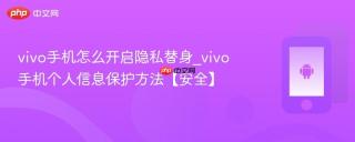 vivo手机怎么开启隐私替身_vivo手机个人信息保护方法【安全】