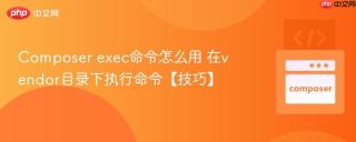 Composer exec命令怎么用 在vendor目录下执行命令【技巧】