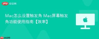 Mac怎么设置触发角 Mac屏幕触发角功能使用指南【效率】