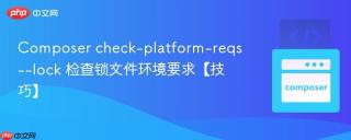 Composer check-platform-reqs --lock 检查锁文件环境要求【技巧】