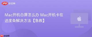 Mac开机白屏怎么办 Mac开机卡在进度条解决方法【急救】