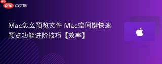 Mac怎么预览文件 Mac空间键快速预览功能进阶技巧【效率】
