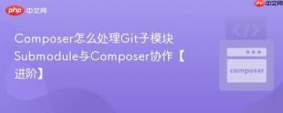 Composer怎么处理Git子模块 Submodule与Composer协作【进阶】