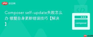 Composer self-update失败怎么办 修复自身更新错误技巧【解决】