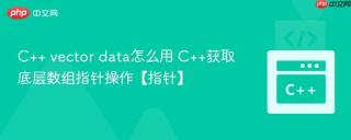 C++ vector data怎么用 C++获取底层数组指针操作【指针】